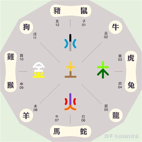 屬龍五行缺什麼|生肖屬龍人的五行與財運